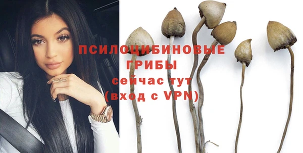 гашик Зерноград