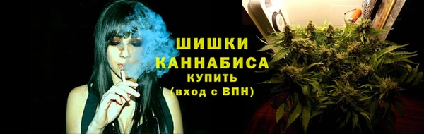 гашик Зерноград