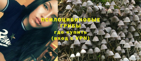 a pvp Зеленокумск