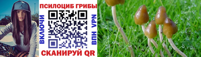 Галлюциногенные грибы мухоморы  Купить где  Ейск 